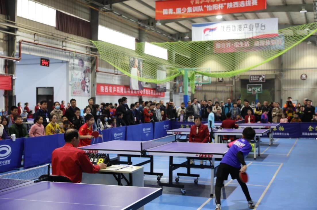 11月的赛 11月的赛