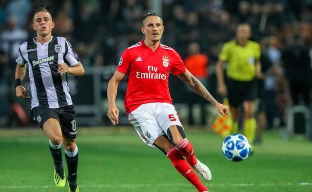 奠定了坚实 奠定了坚实