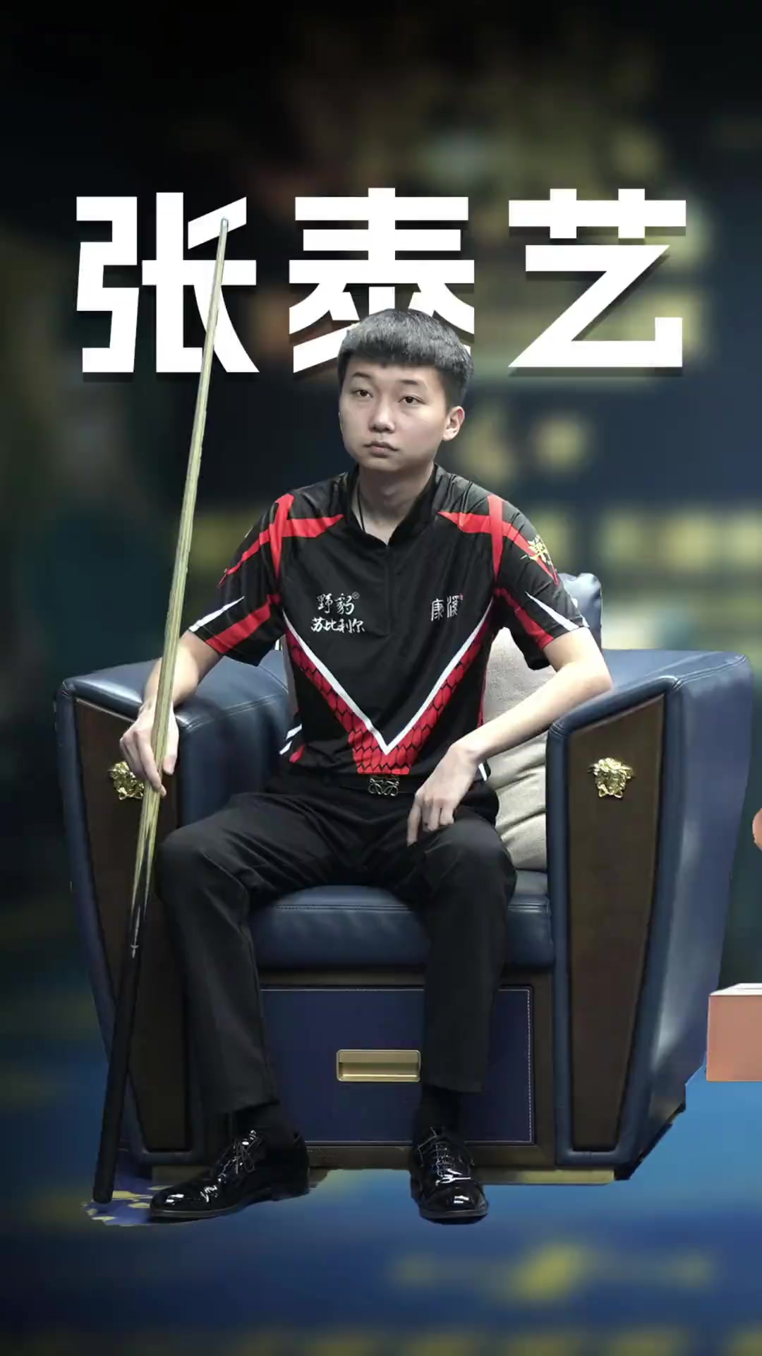 今年的草地 今年的草地